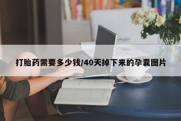 网上如何购买堕胎药打胎药需要多少钱/40天掉下来的孕囊图片