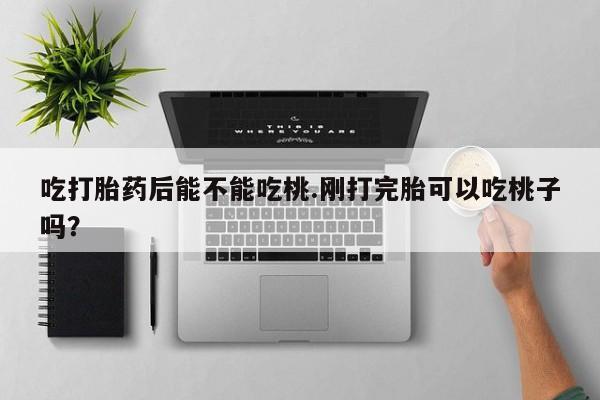 网上如何购买堕胎药吃打胎药后能不能吃桃.刚打完胎可以吃桃子吗？